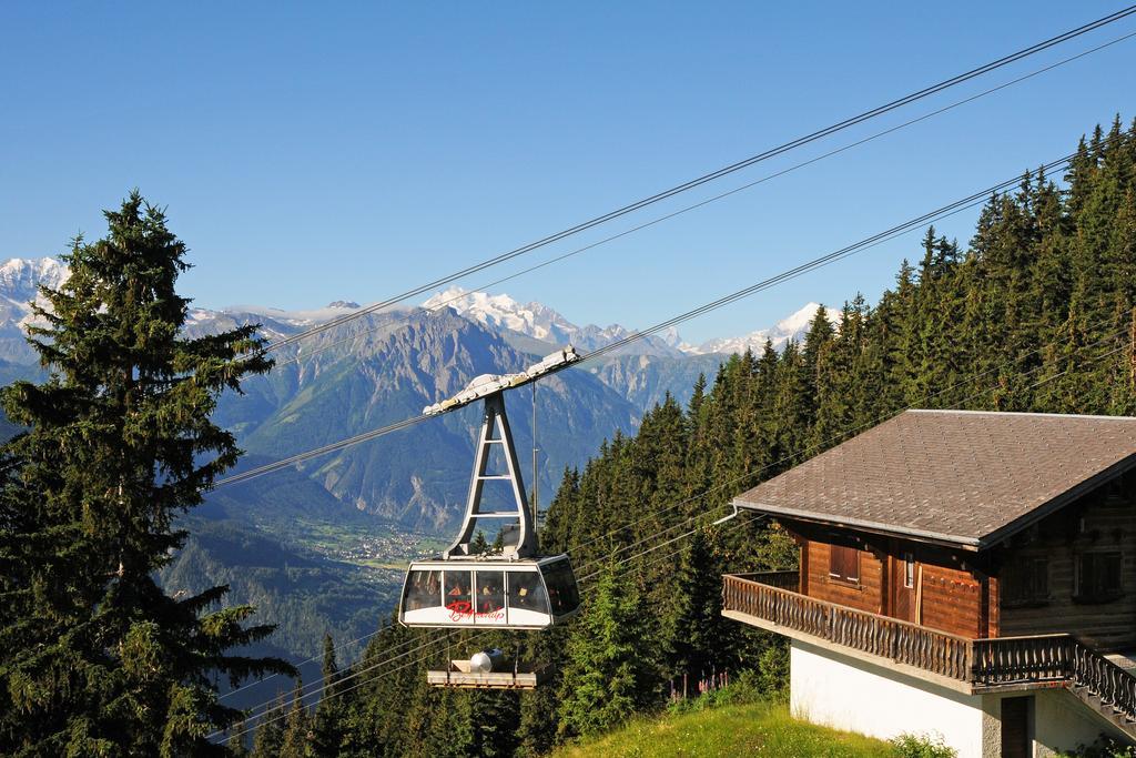 Alpenhaus Bettmeralp Exteriér fotografie